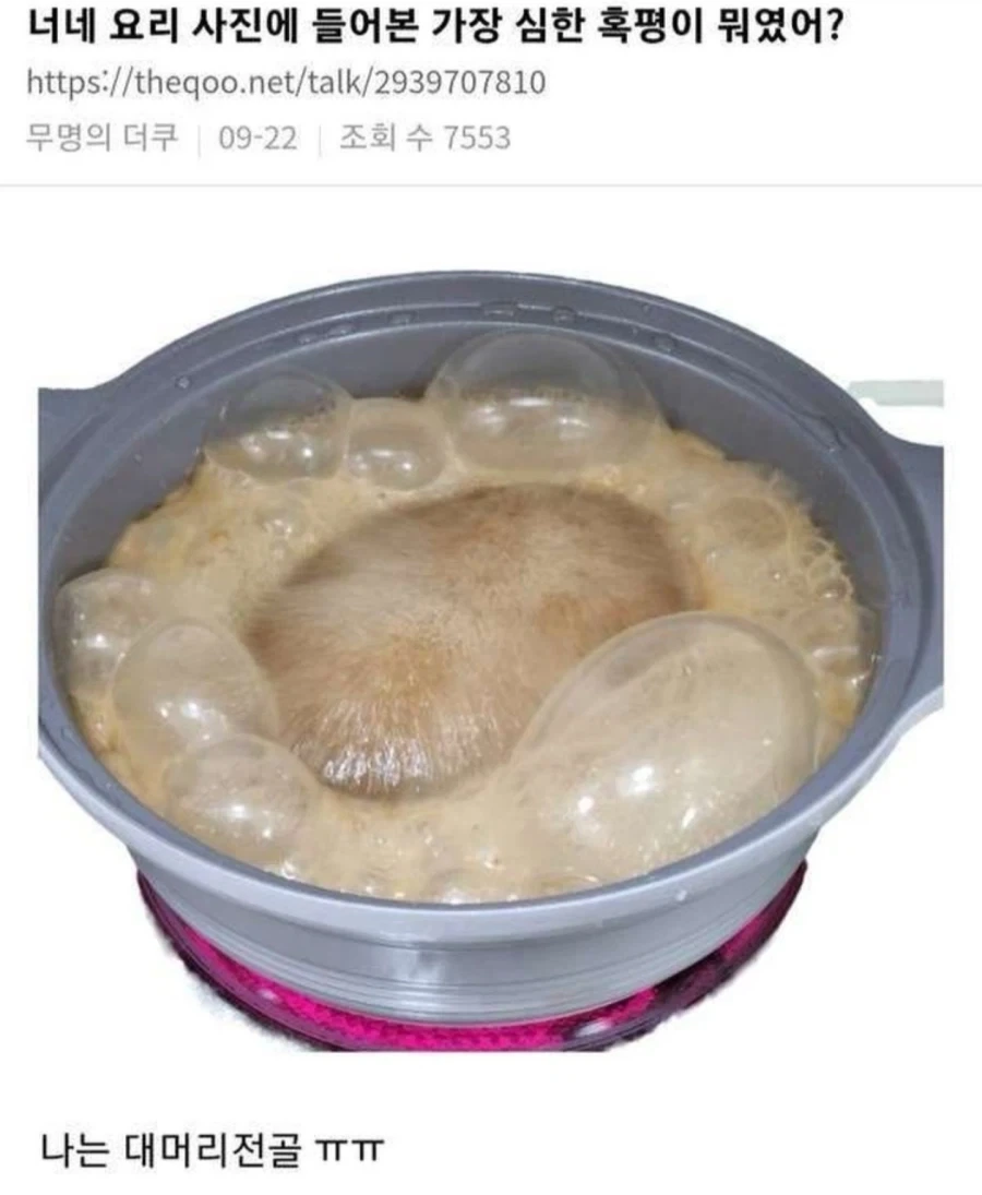 너네 요리한사진중에 가장심한 혹평이 뭐였어??_1.webp