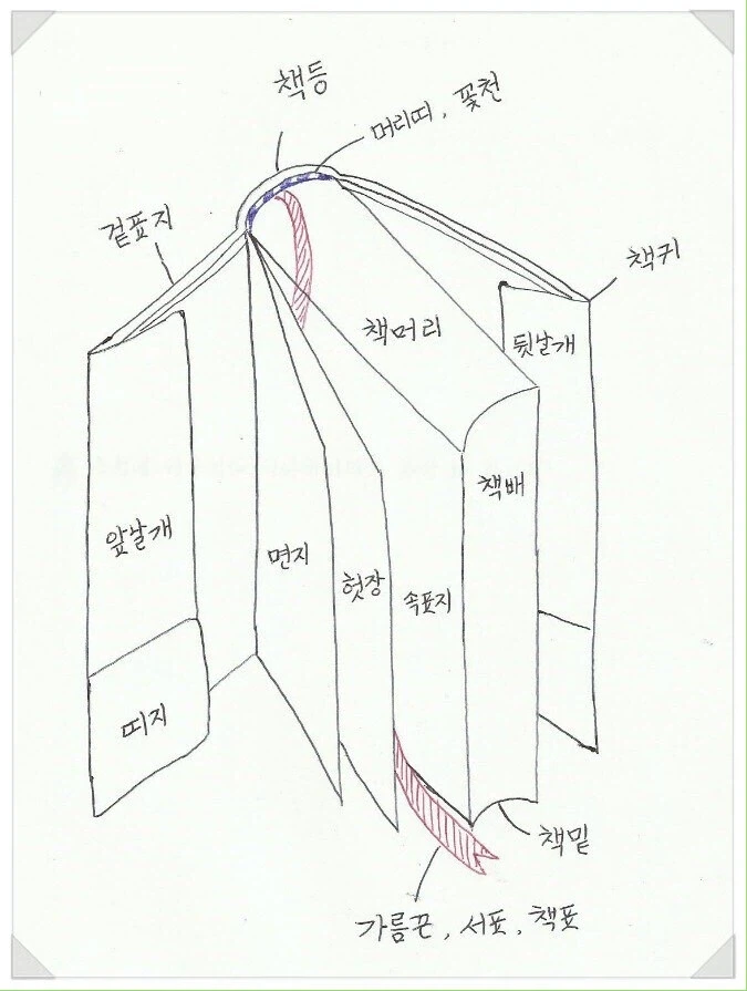 의외로 세세한 책 세부명칭_1.webp