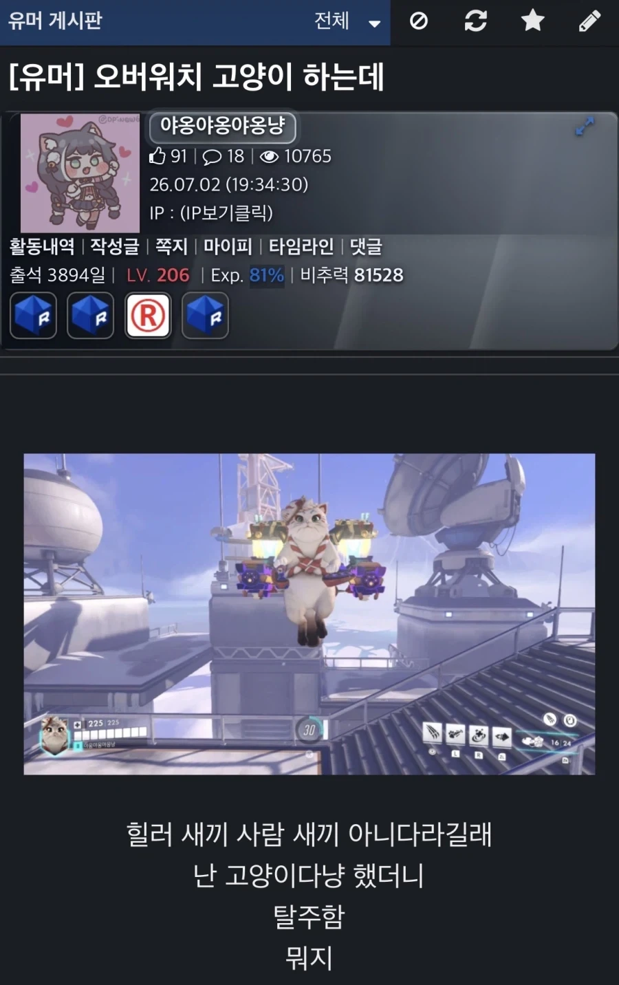 오버워치 고양이 특_1.webp