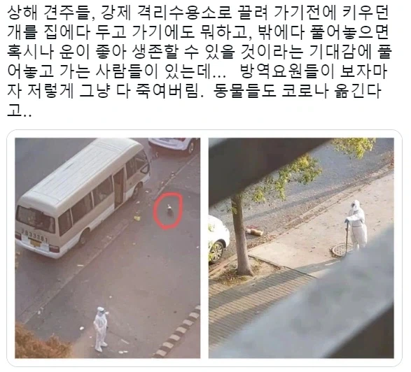 코로나때 제일 얄미운 놈들_1.webp