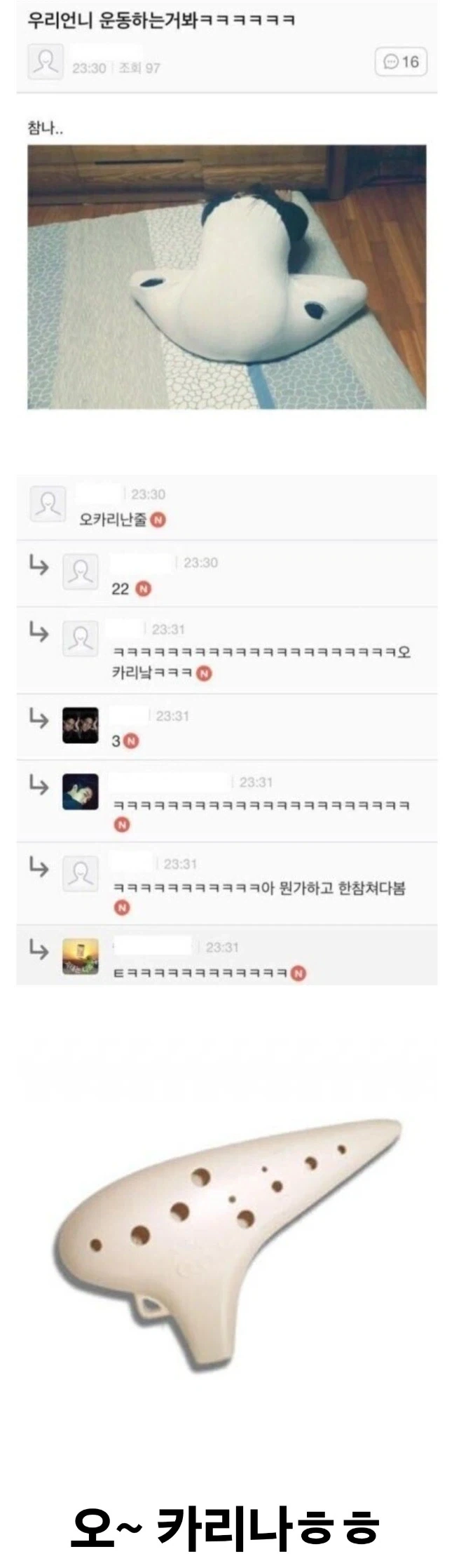 운동하는 우리 언니… 오~ 카리나 같어.jpg_1.webp