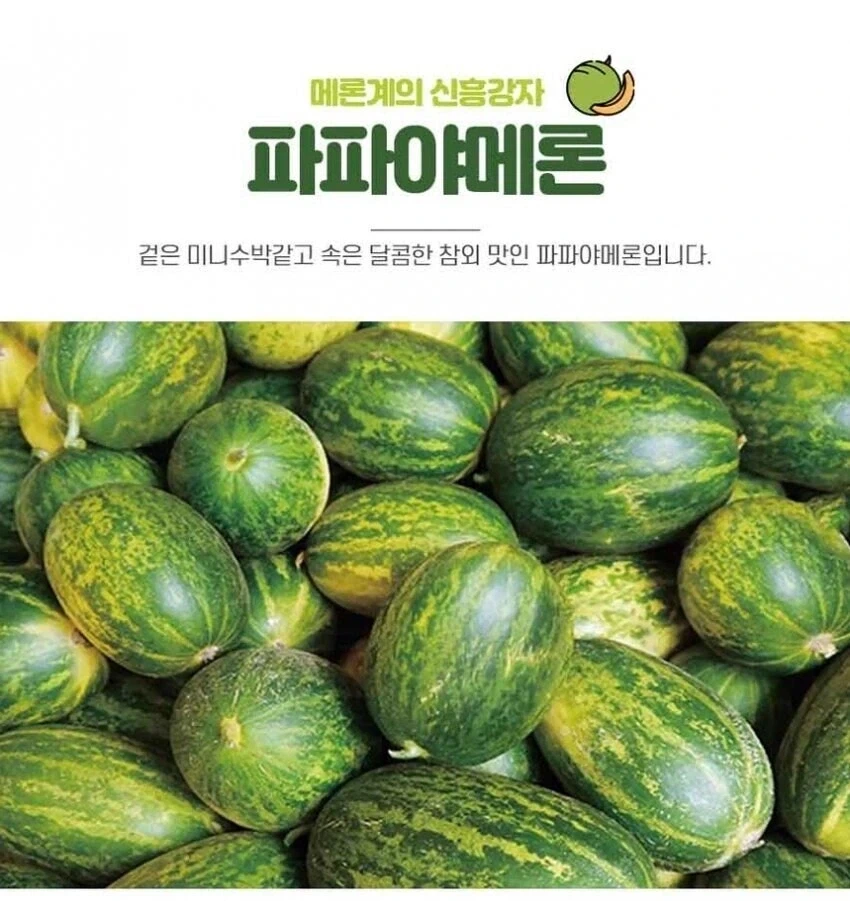 아빠...제발 하지 말아줘..._1.webp