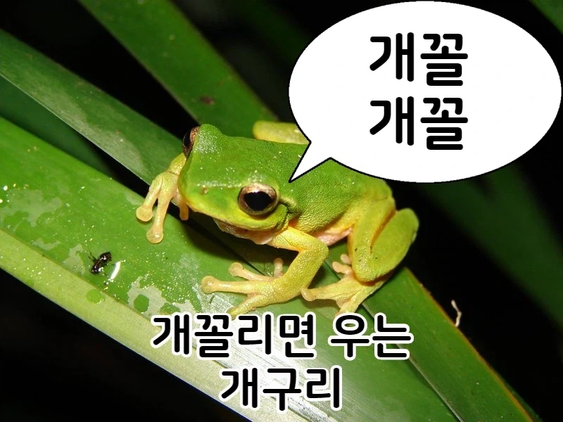 선정적인 짤이면 자러간다_2.webp
