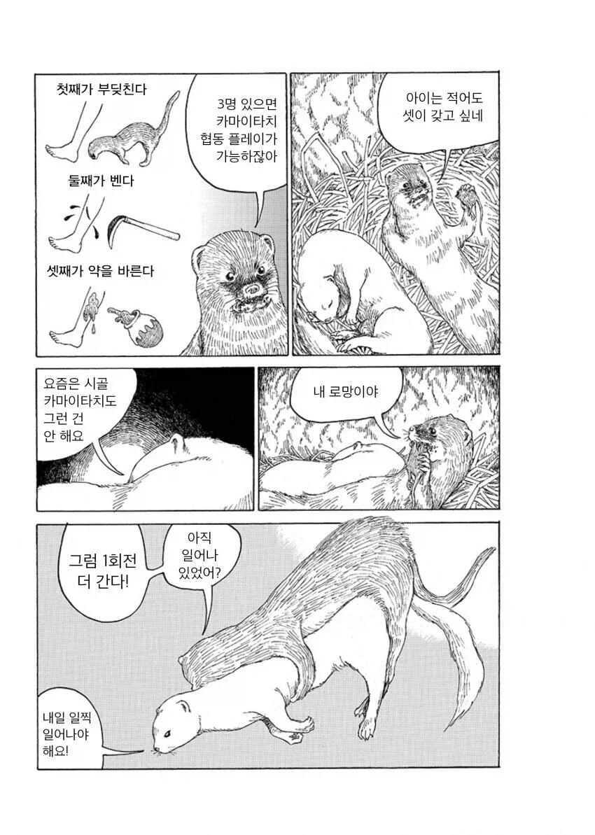 낫든 족제비 요괴 카마이타치 이야기_4.webp