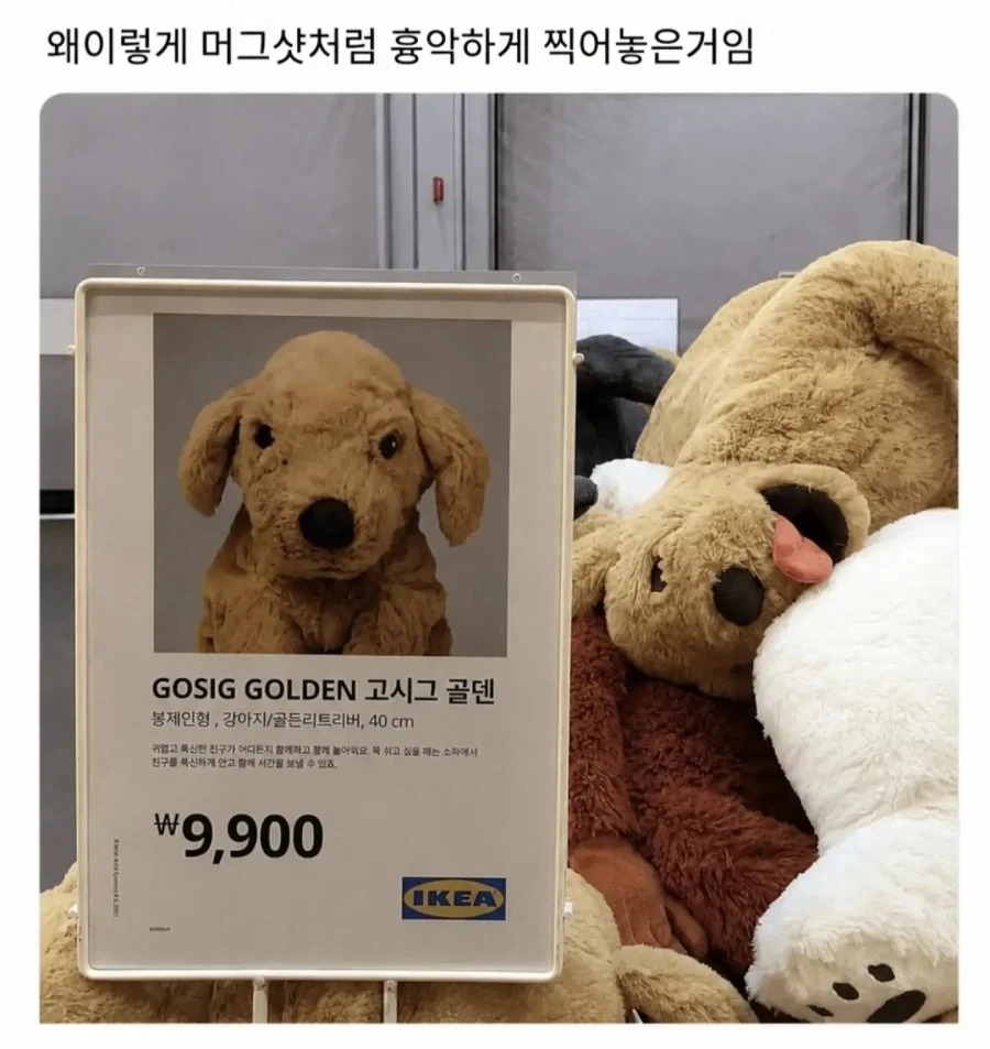 세이 마이 네임_1.webp
