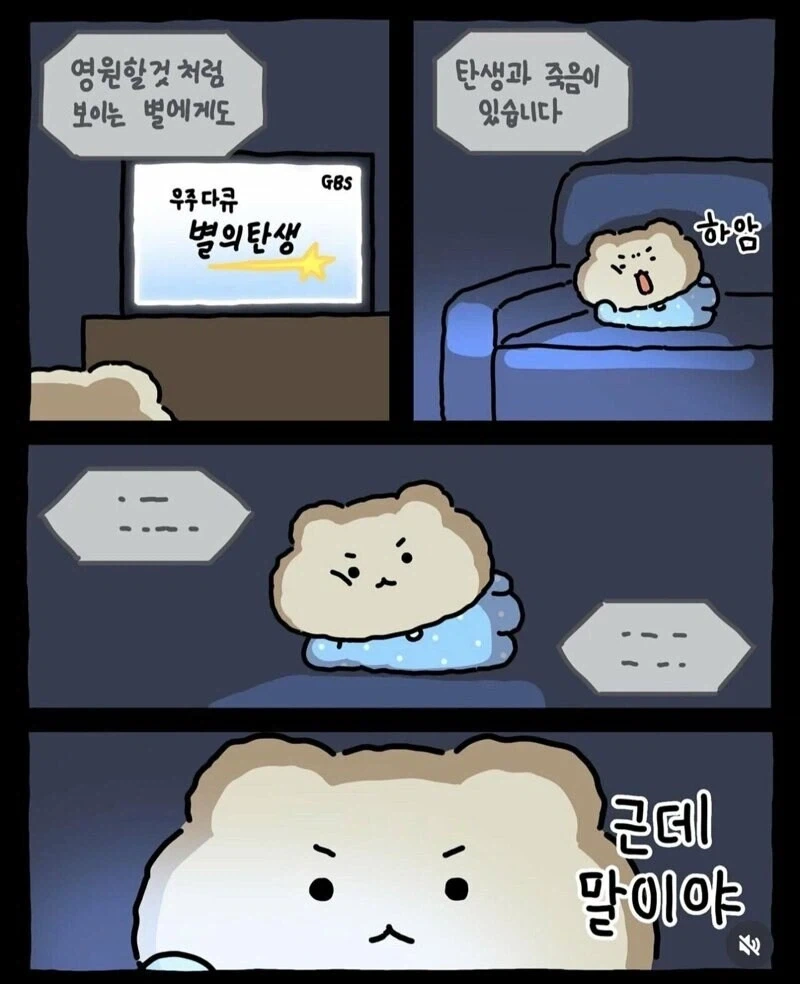 망곰이가 말하는 별 볼일 있는 존재_5.webp