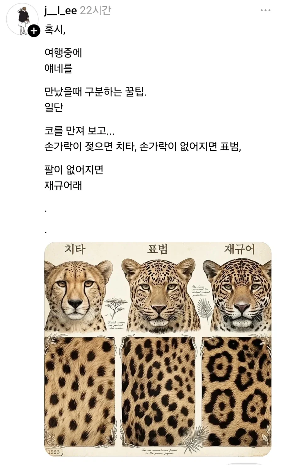헷갈리는 고양이과 동물 구분법.jpg_1.webp