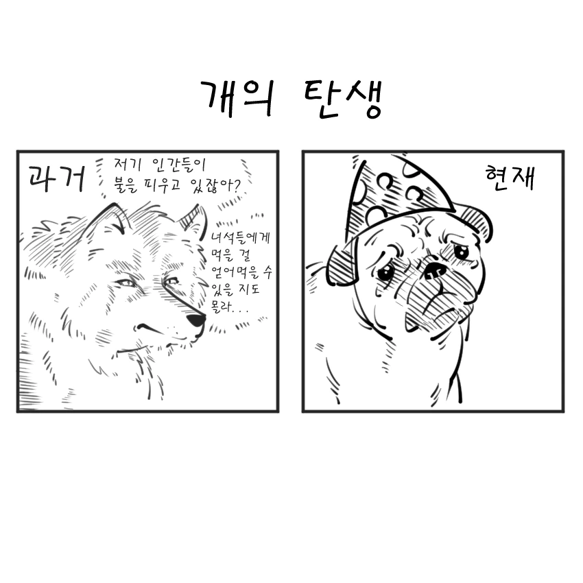 개의탄생.png