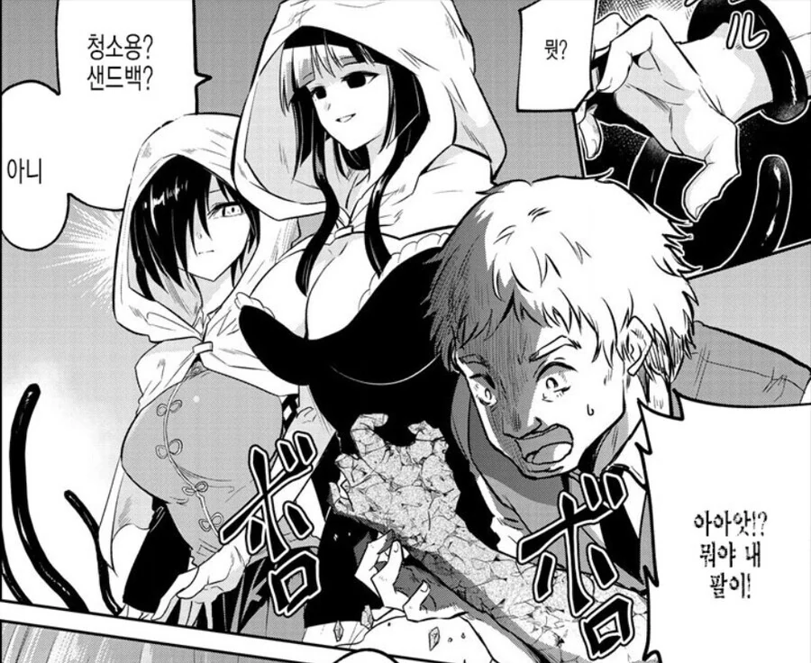 manga_4075522_002.webp