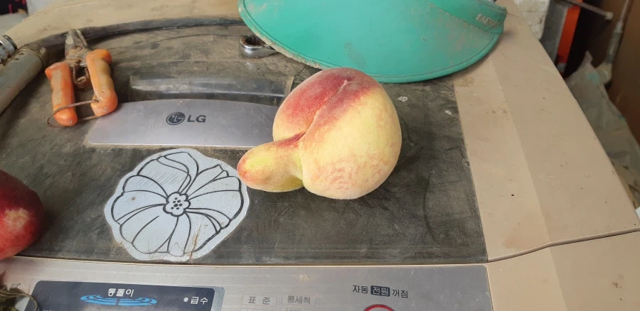 참 실한 복숭아.jpg_1.webp