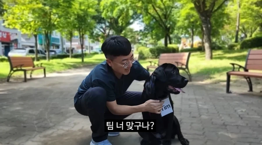 김선태 충주맨 복귀한 줄 알았네_3.webp