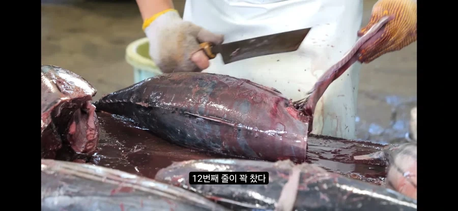 가쓰오부시 만들어지는 과정_5.webp