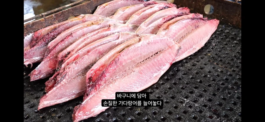 가쓰오부시 만들어지는 과정_9.webp