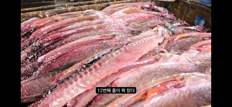 가쓰오부시 만들어지는 과정_10.webp