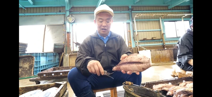 가쓰오부시 만들어지는 과정_15.webp