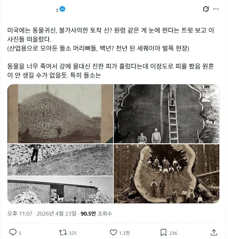 미국에서 야생동물이나 토착 신의 원혼 목격담이 많은 이유.jpg_1.webp