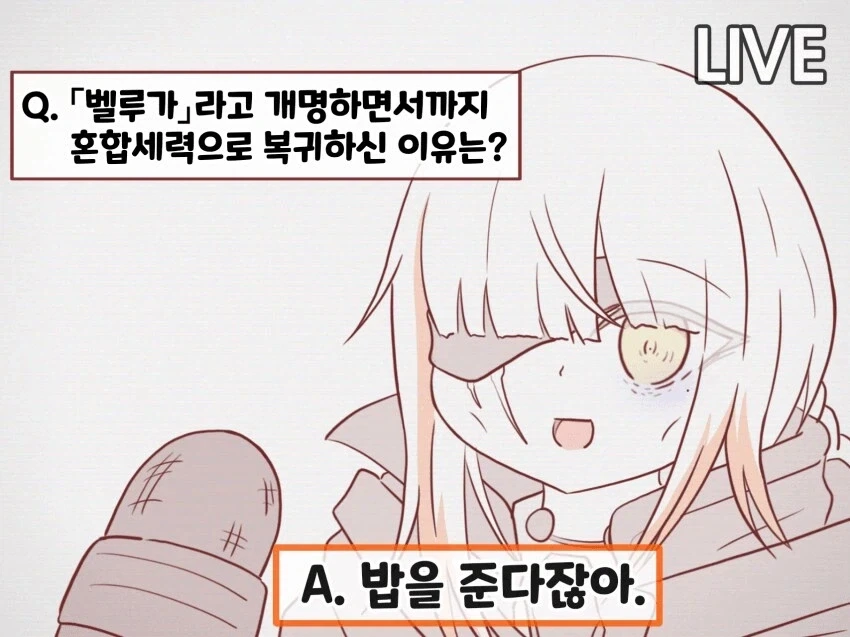 외국에서 관심을 가지고 있는 한국총(?)_5.webp
