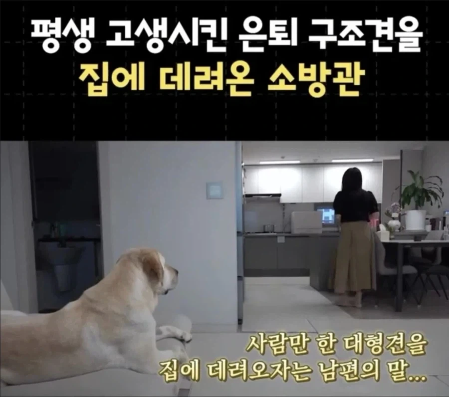 퇴사했는데 직장상사랑 동거하게 된 사연_1.webp