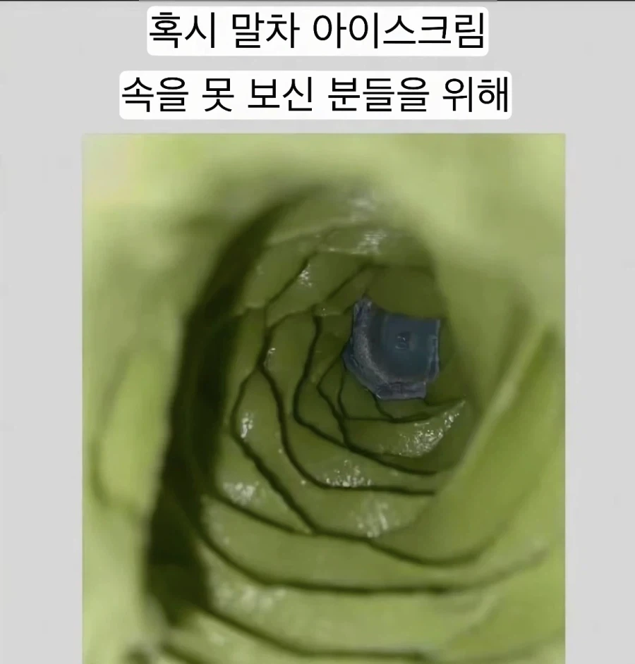 말차아이스크림을 내부에서 찍은 사진_1.webp