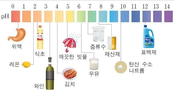 페-하!_1.webp