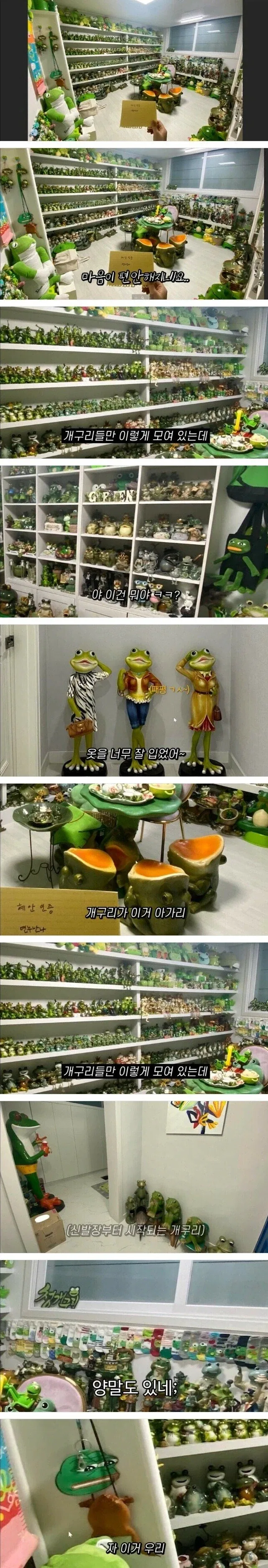 엄마가 30년동안 모은 개구리 장식품.jpg_1.webp