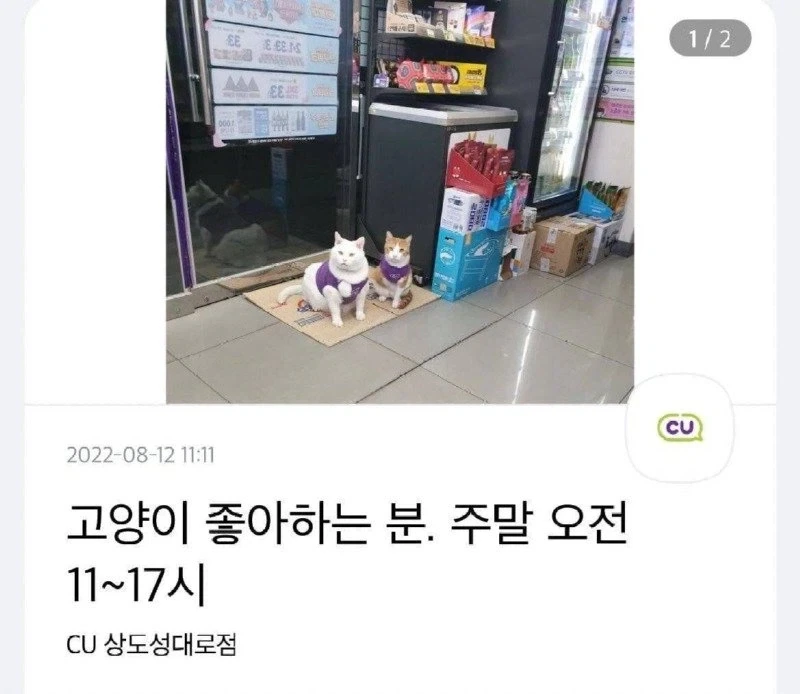 어느 편의점의 구인공고_1.webp
