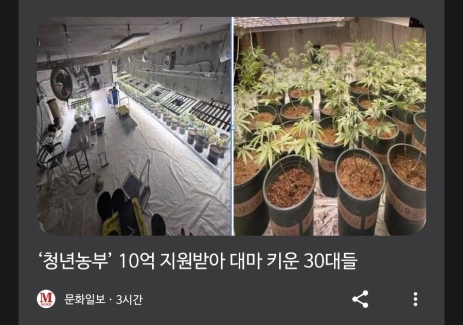 고부가가치 사업에 종사하는 청년에게 10억을 준 국가.JPG_1.webp