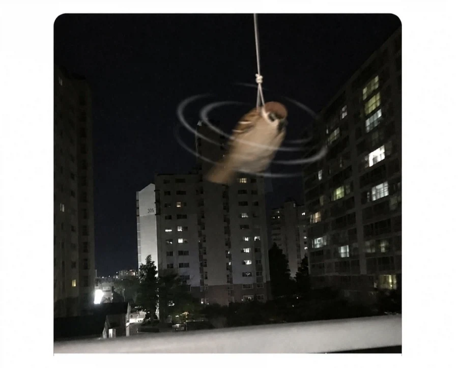 친구가 윗집살면 좋은이유_2.webp