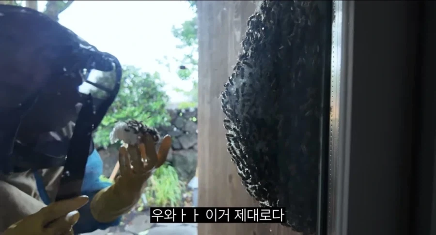 몇주만 집을 비우고 오면 생기는 일.jpg_9.webp