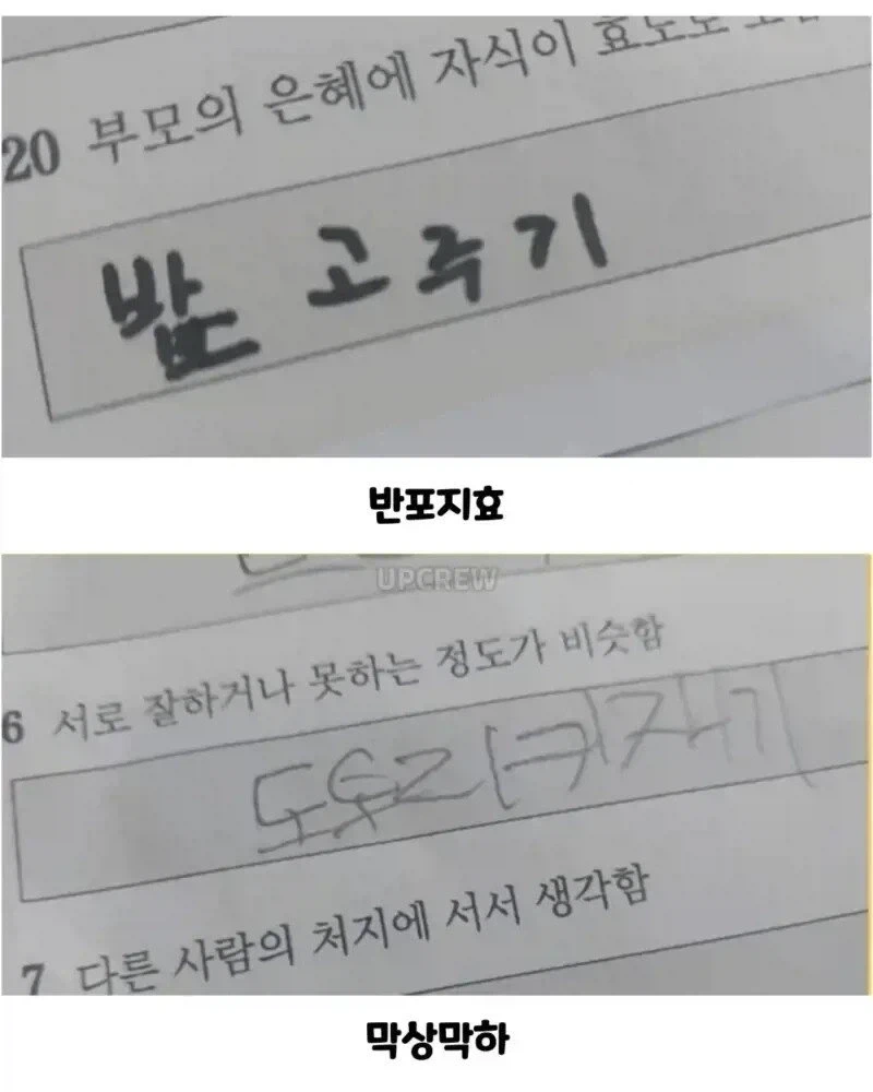 사자성어 시험 본 아이들.jpg_2.webp