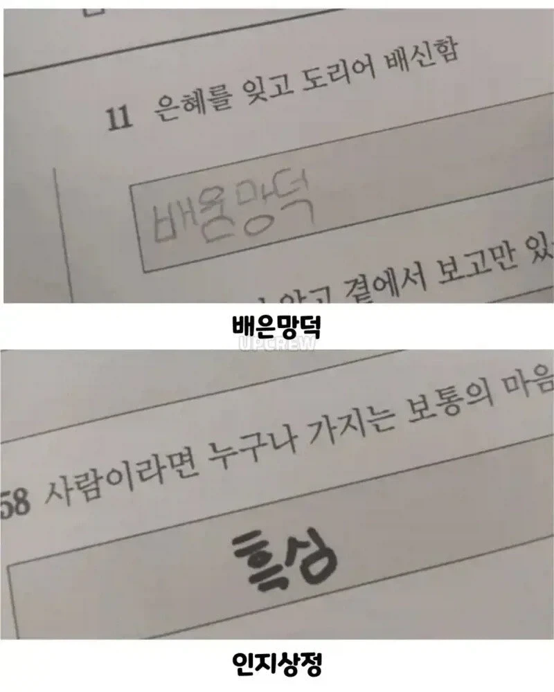 사자성어 시험 본 아이들.jpg_3.webp