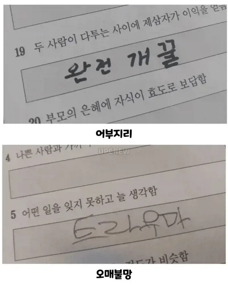 사자성어 시험 본 아이들.jpg_5.webp