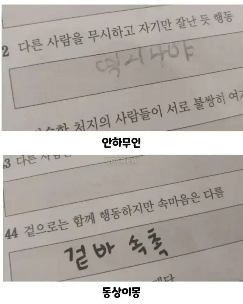 사자성어 시험 본 아이들.jpg_6.webp