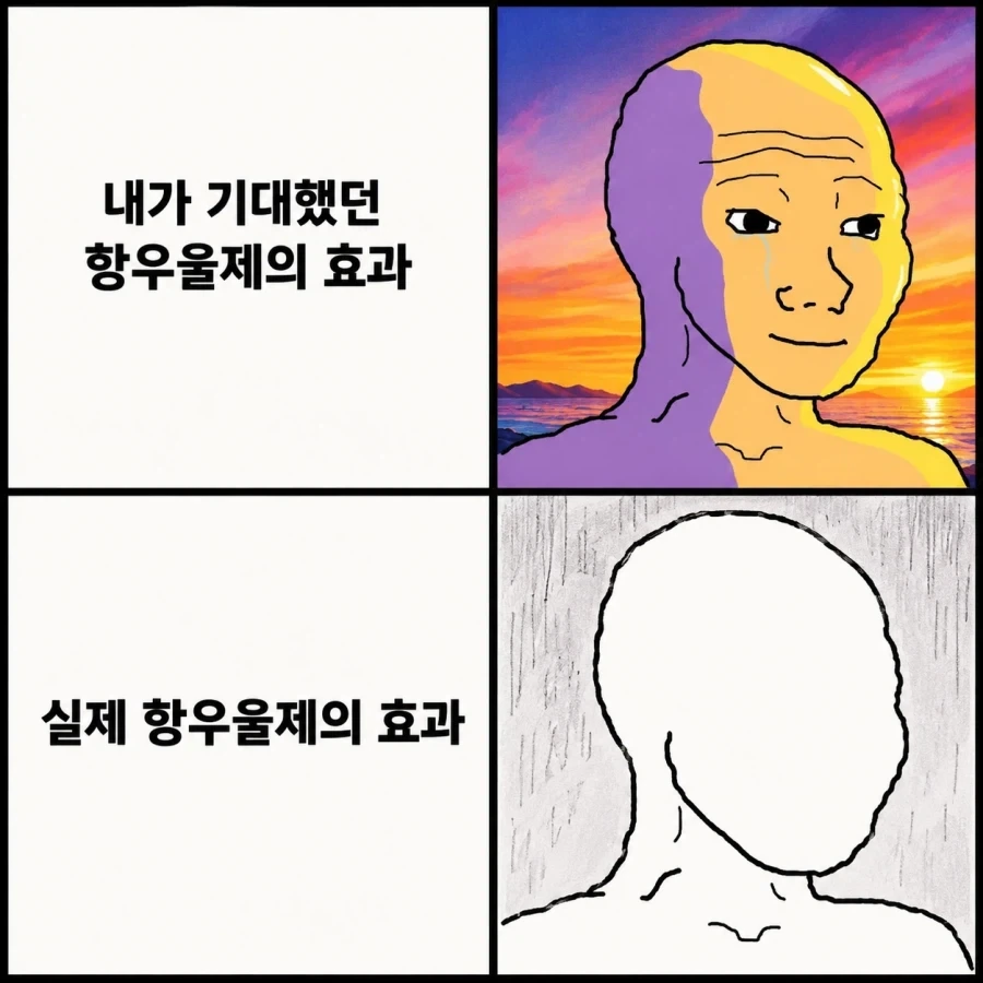 한 짤로 보는 항우울제의 효과_1.webp