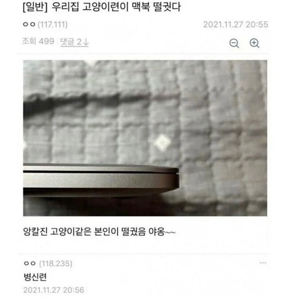 우리집 고양이련이 맥북 떨궜다 jpg_1.webp