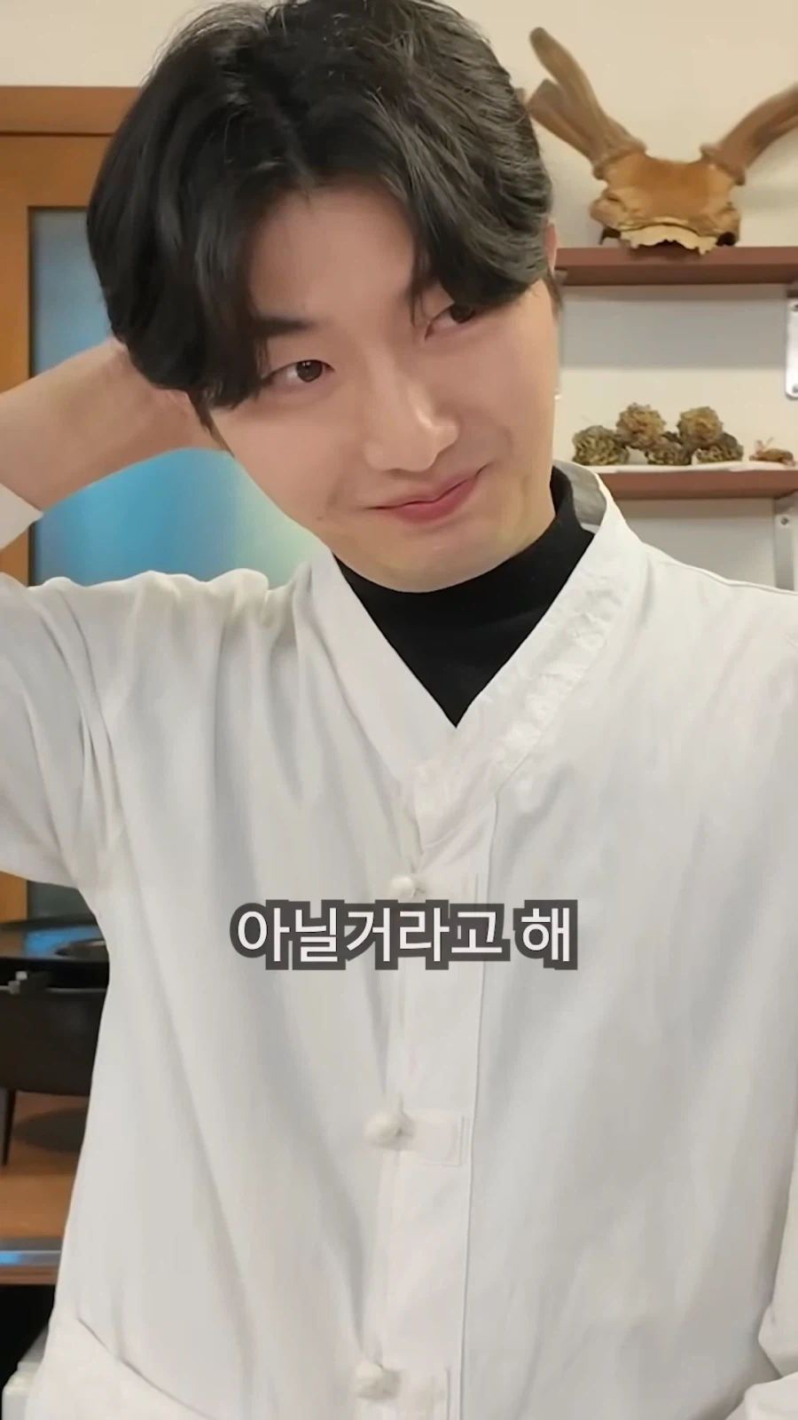 최씨남매 흑염소 쇼츠 올라옴_3.webp