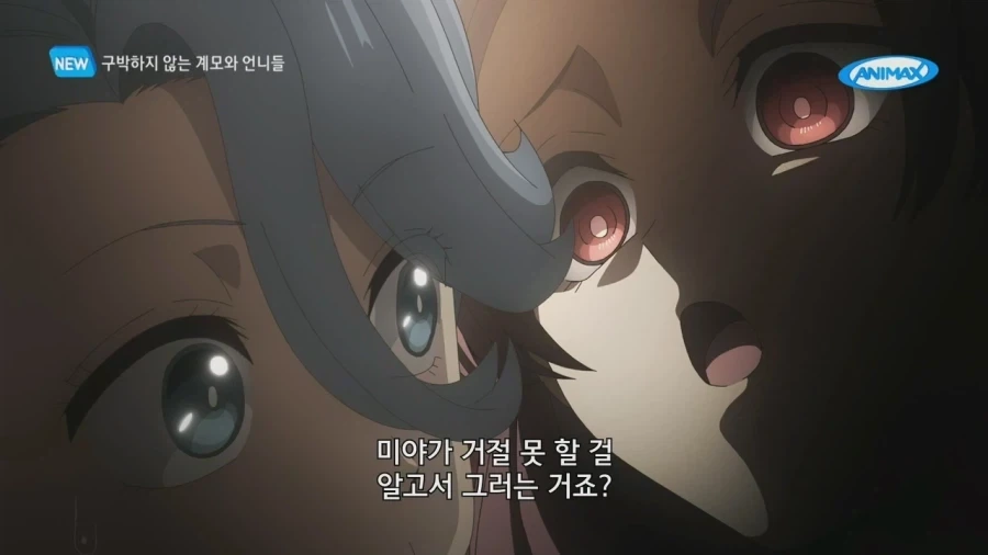 손녀를 위하는 건지 아닌지 모를 할머니_12.webp