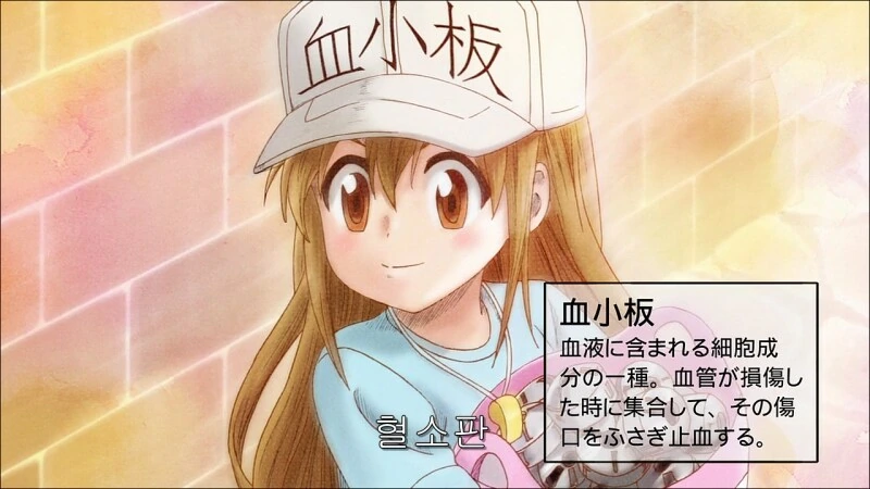 img/25/04/22/1965d5a854b3c8dd1.png
