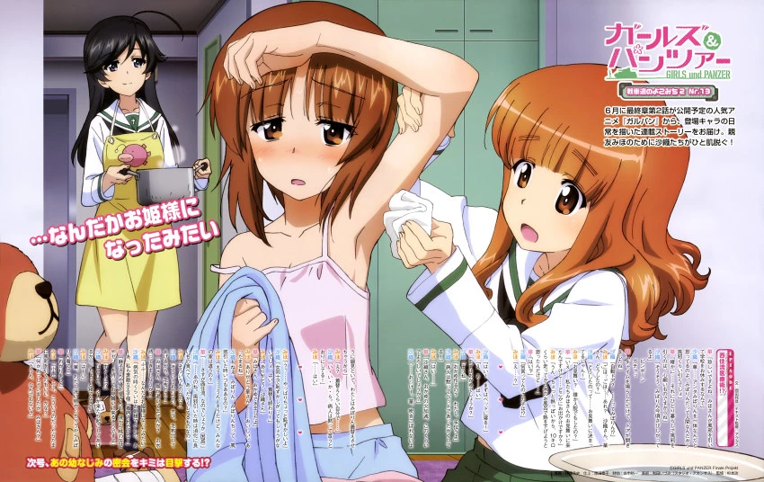 sample_6f869beadecd0b5a64a234022e6109d3.jpg