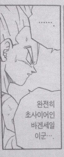 manga_66767731_002.webp