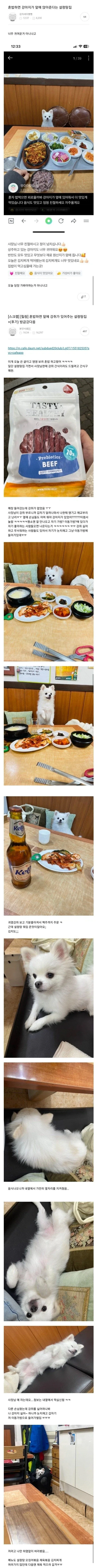 혼밥하면 강아지가 앉아주는 설렁탕집_1.webp