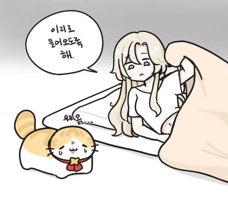 고양이 집사들은 공감하는 고양이가 2000% 만족하는 표정_1.webp
