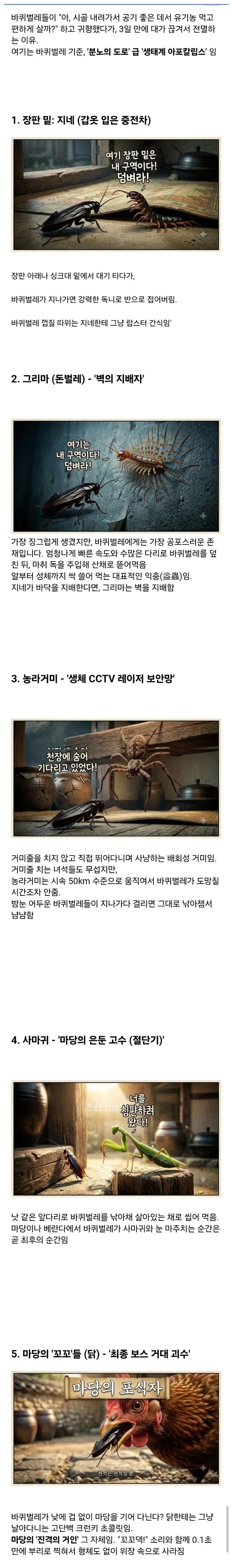 (약혐)시골집에 오히려 바퀴벌레가 없는 이유_1.webp