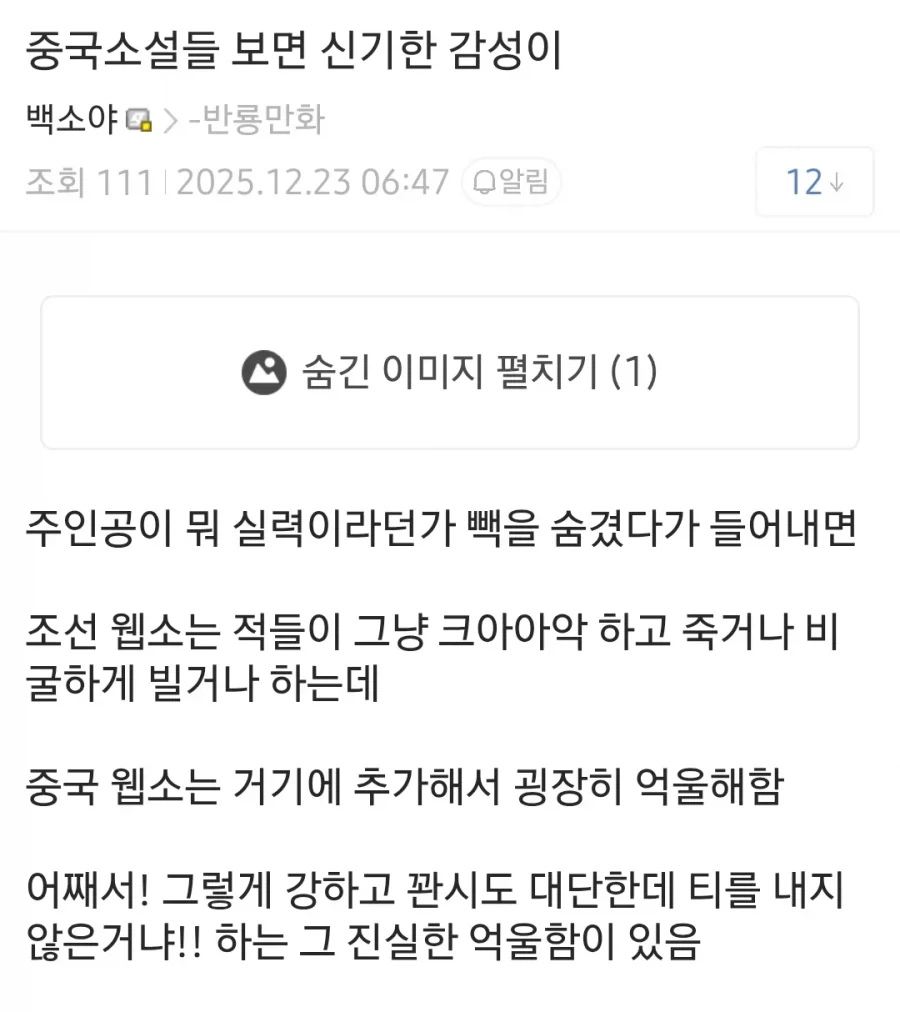 중국 웹소보면 신기한점_1.webp
