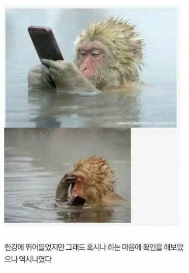 ???:야 죽을 각오로 하면 이 세상 못하는 일 없어_1.webp