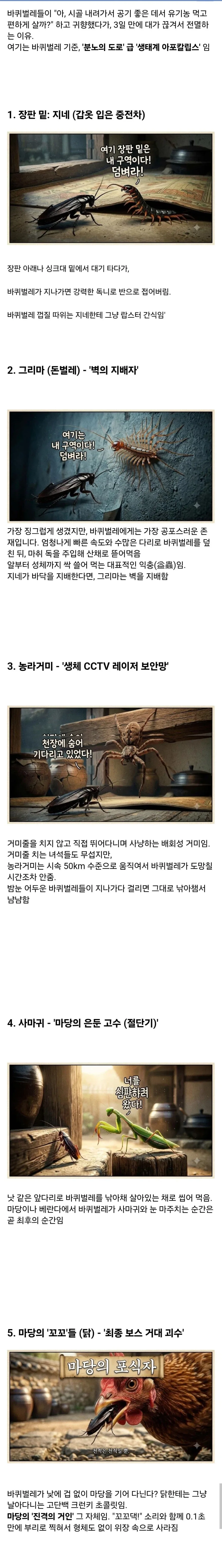 시골집에 오히려 바퀴벌레가 없는 이유_1.webp