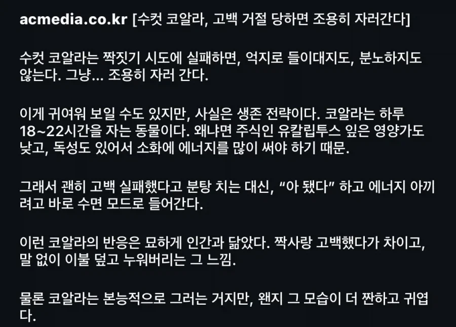 수컷 코알라가 고백 거절당하면 하는일_2.webp
