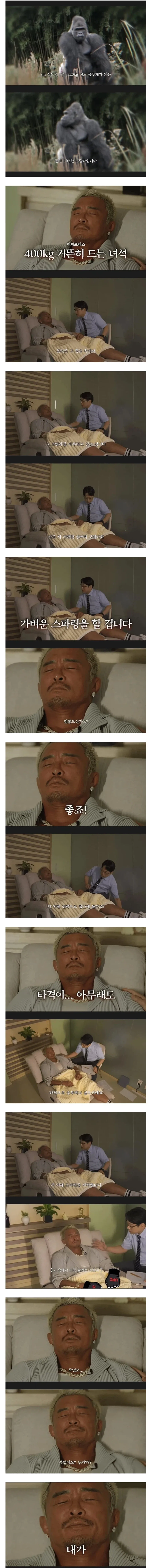 고릴라랑 인간이 싸우면 생기는 일_1.webp