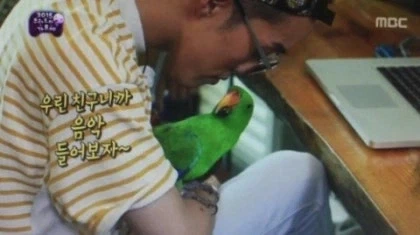 원피스 떡밥 요약_1.webp