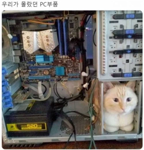 의외로 꼭 필요한 컴퓨터 부품_1.webp